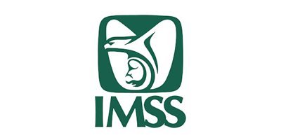 IMSS IMSS